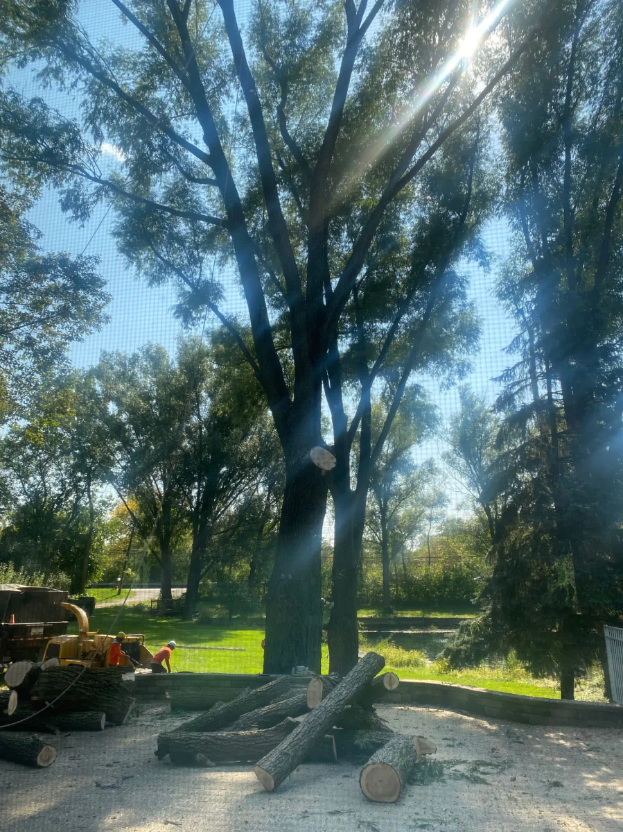 2023 09 30+(1) 1920w